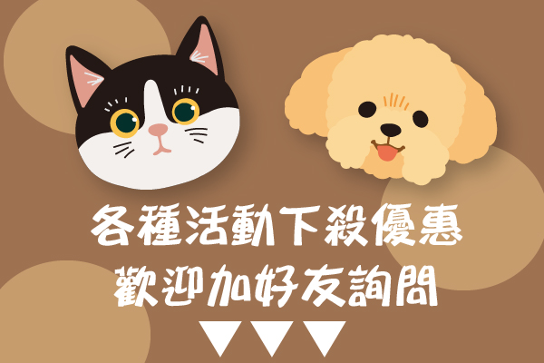阿拉丁全球旅行社